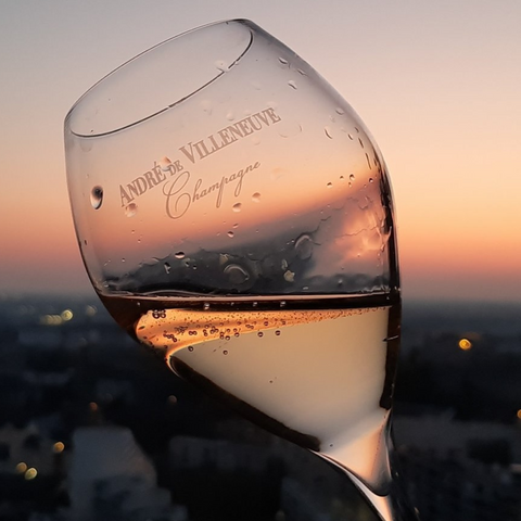 2 André de Villeneuve Crystal Champagne Glasses