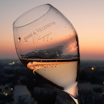 2 André de Villeneuve Crystal Champagne Glasses